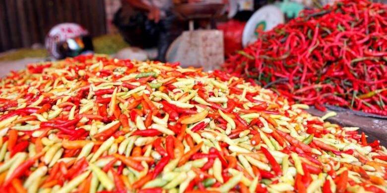 Harga Cabai di Pasar Tradisonal Turun