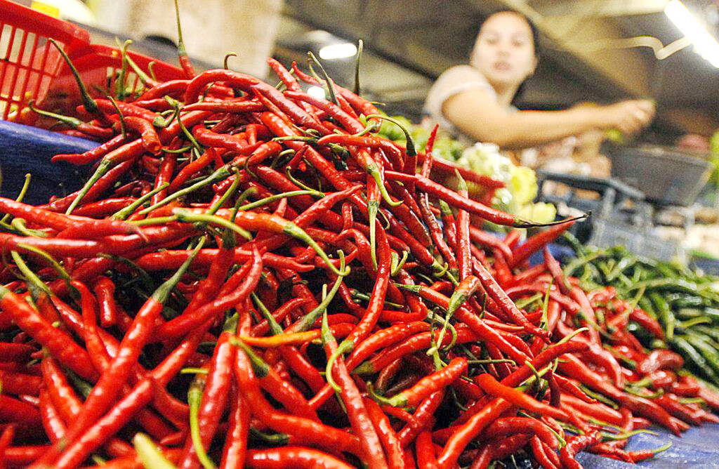 Harga Cabai Jambi Naik RP10.000/KG