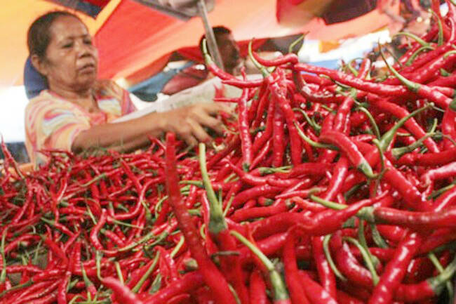 Harga Cabai Jambi Turun Karena Pasokan Bertambah