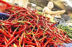 Harga Cabai Jambi Turun
