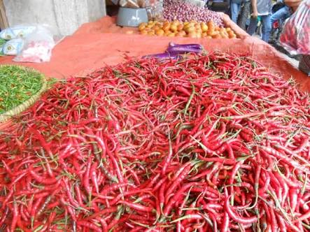 Harga Cabai Merah di Tanjabtim Semakin Pedas