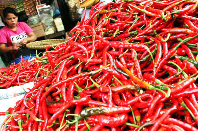 Harga Cabai Naik Rp 4.000 Per Kilogram