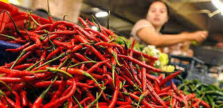 Harga Cabai Turun Rp 10.000 Per Kilogram