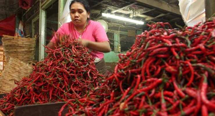 Harga Cabe Merah Naik