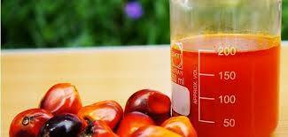 Harga CPO di Jambi Turun Rp 212/Kg