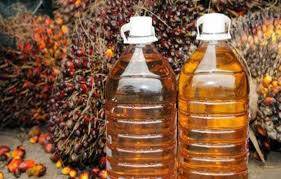 Harga CPO Di Jambi Turun Rp150/Kg