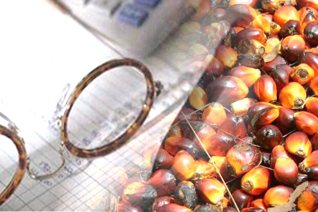 Harga CPO Jambi Turun Rp 54 Per Kilogram