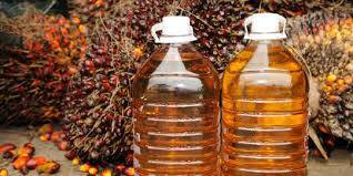 Harga CPO Rp 8.645 Per Kilogram