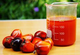 Harga CPO Turun Rp121 Per KG