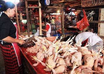 Harga Daging Sapi dan Ayam Masih Tinggi