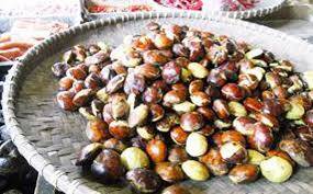 Harga Jengkol Tembus Rp 120.000
