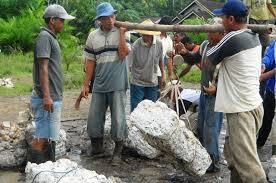 Harganya Bisa Tinggi, Kelembagaan Petani Karet Harus Diperkuat