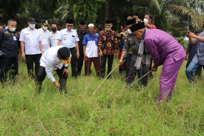 Haris Apresiasi Kegiatan Turun ke Sawah