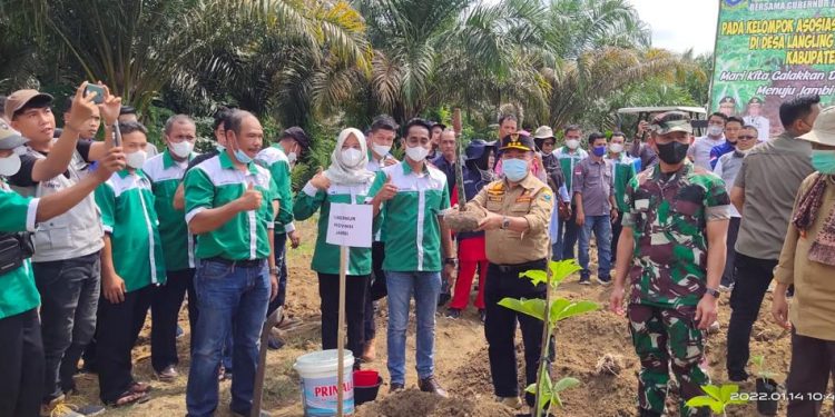 Haris Dorong Porang Jadi Komoditi Unggulan
