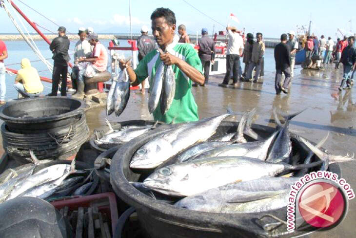 Hasil Tangkapan Nelayan Merosot