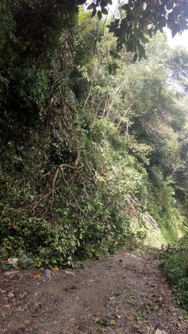 Hujan dan Angin Kencang, Landa Kerinci