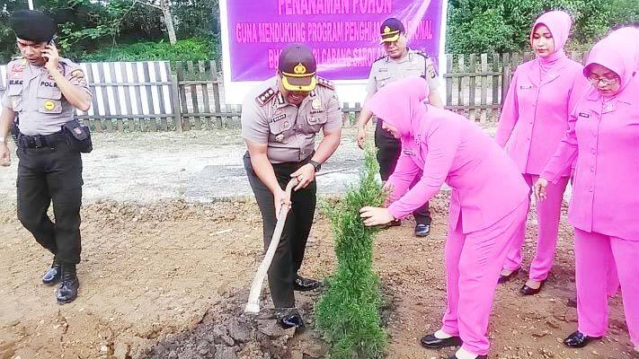 Ibu Bayangkari Sarolangun Tanam Pohon Dalam Rangka Program Penghijauan