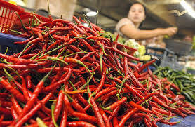 Imlek, Harga Cabai Turun
