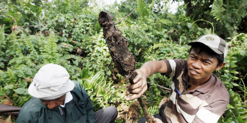 Indonesia Miliki Pusat Lahan Gambut Tropis Internasional