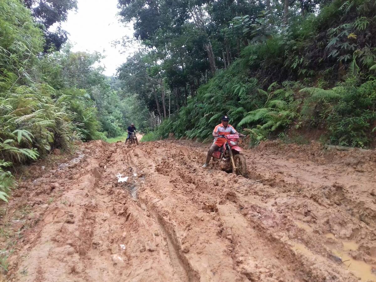 Jalan Pauh &#8211; Air Hitam Sarolangun Diusulkan jadi Jalan Provinsi