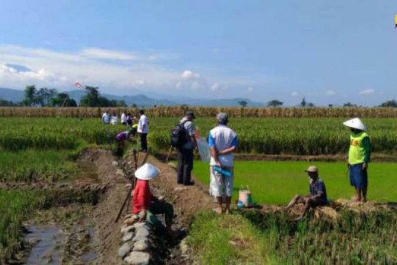 Jambi Dapat Program P3TGAI, Petani Diberi Upah Harian
