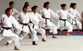 Jambi Kirim 34 Karateka Ikut Piala Mendagri