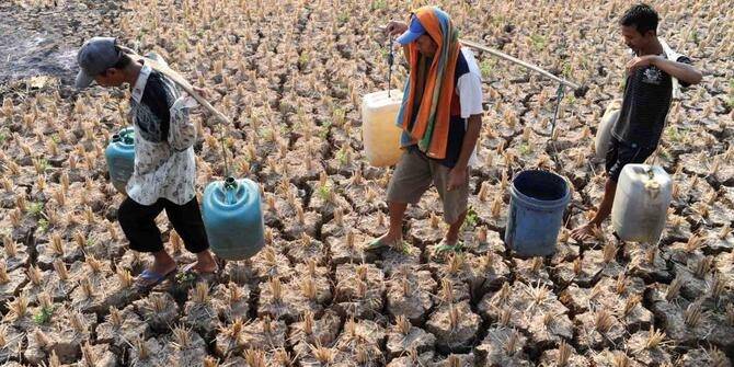 Jambi Masuk Prioritas Modifikasi Cuaca Jelang Musim Panas