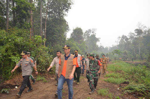 Jambi Termasuk Berstatus Siaga Darurat, BNPB: Kedepankan Pelibatan Semua Unsur