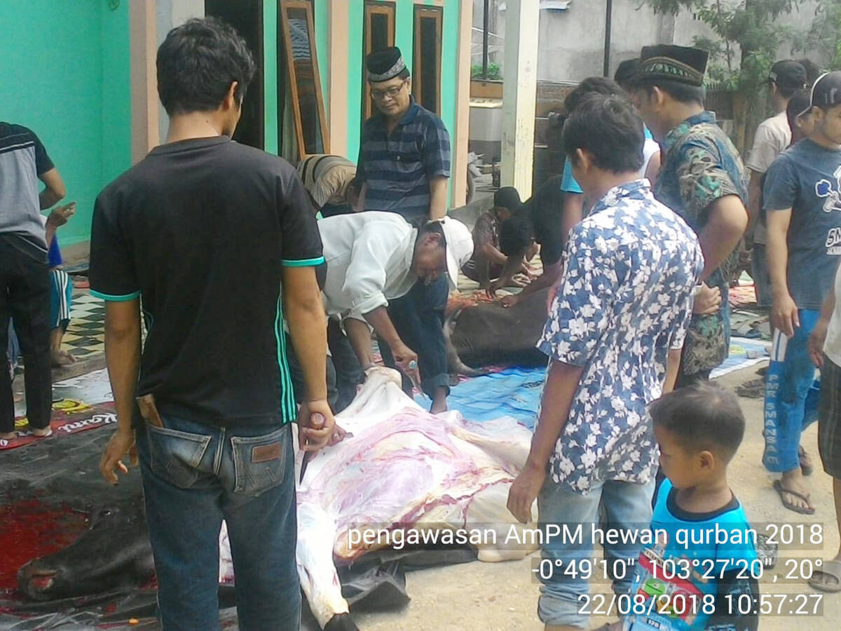 Jumlah Hewan Qurban  Tahun ini Menurun