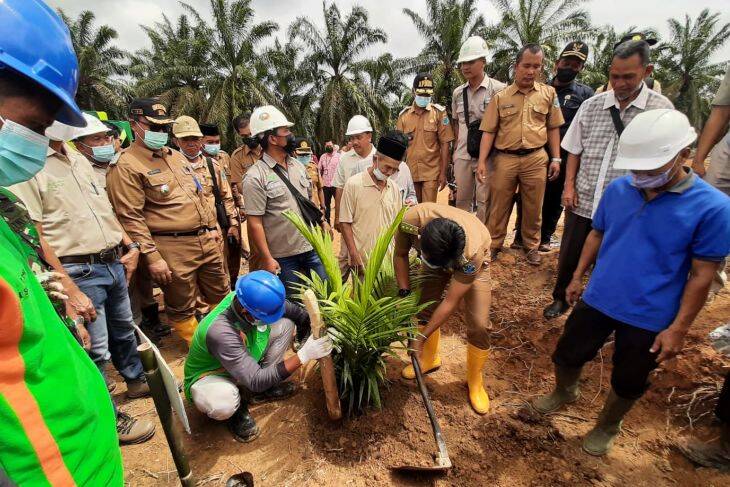 Kabar Bahagia dari Fadhil Arief untuk Petani Sawit