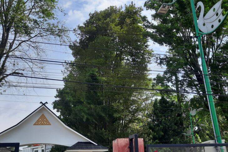 Kabel Listrik dan Telepon Semrawut Hiasi Kota Jambi