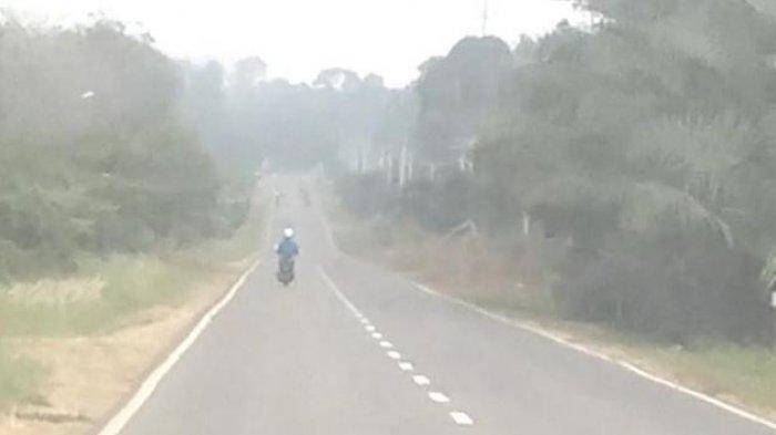 Kabut Asap Mulai Selimuti Kota Tungkal