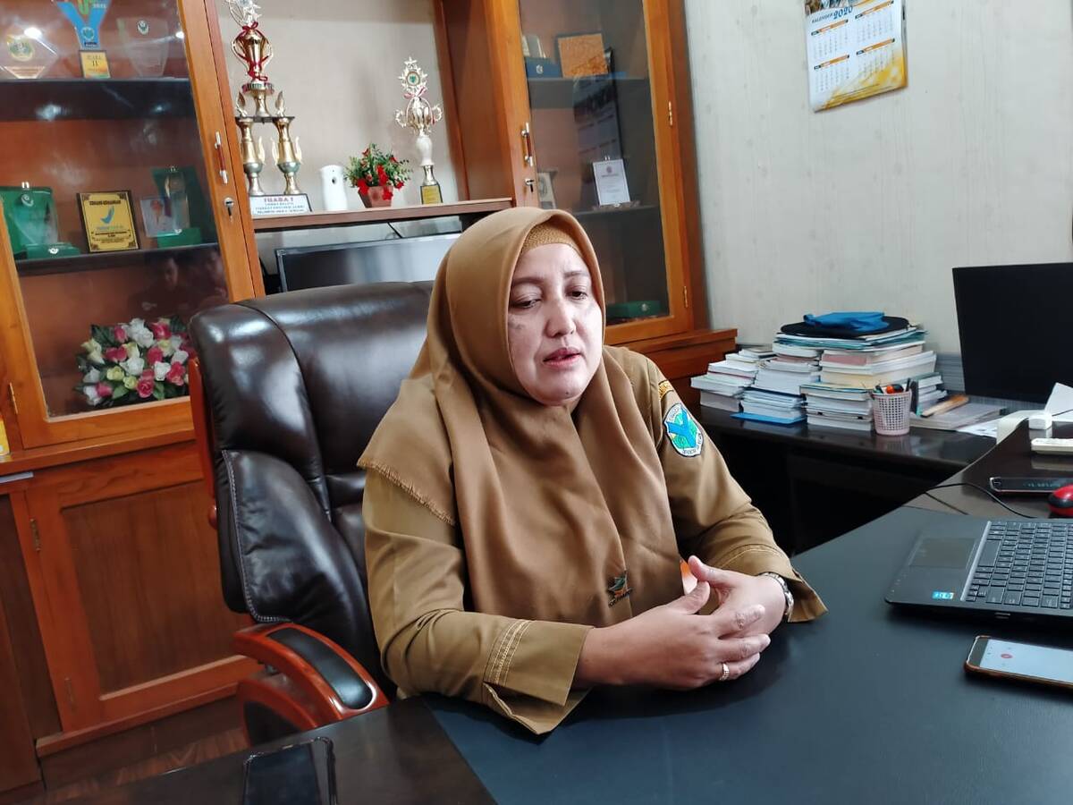 Kadinkes Batanghari Pastikan Tidak Ada Pasien Corona Di RSUD Hamba Muara Bulian