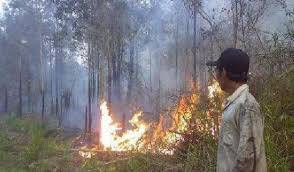 Kapolres Himbau Masyarakat Larang Buka Lahan Dengan Cara Membakar