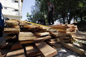 Kayu Ilegal Dijual di Kota Jambi