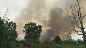 Kebakaran Lahan Dan Pemukiman Hantui Tanjabtim