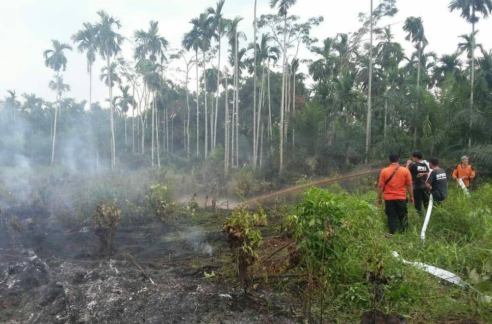 Kebakaran Lahan Kembali Terjadi di Tanjab Barat