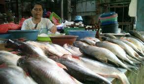 Kebutuhan Ikan Di Batanghari Selama Ramdahan Meningkat Drastis