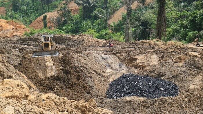 Kegiatan Ilegal Jambi Capai 359.830 Hektar, Jangan sampai Kerugian Dibiarkan
