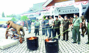 Kejari Sarolangun Musnahkan Barang Bukti