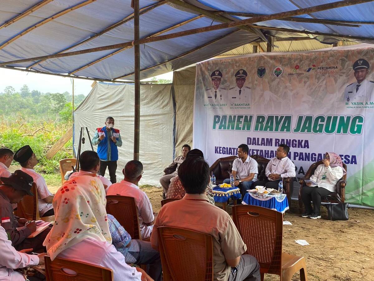 Kelompok Tani Binaan SKK Migas &#8211; Pertamina EP Jambi Field Gelar Panen Raya, Hasilkan 3,96 Ton Jagung