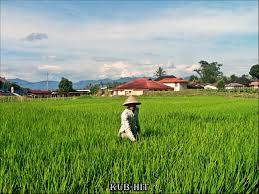 Kelompok Tani di Kerinci Bakal Divalidasi