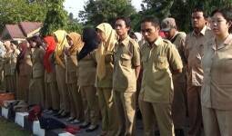 Kemdikbud Mengidentifikasi Keberadaan Dan Kualifikasi Guru Honorer