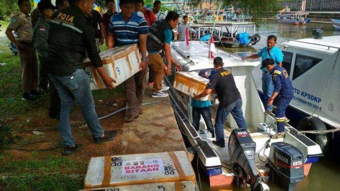 Kementerian KKP Sebut Jambi Paling Tinggi Gagalkan Penyelundupan Benih Lobster