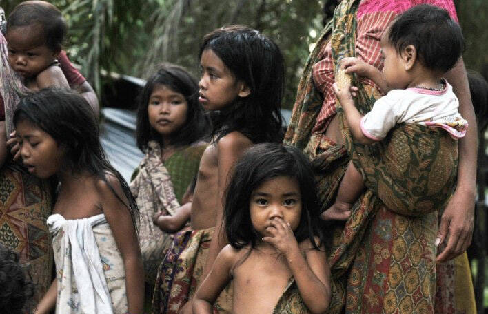 KLHK: Perlu Sinergi Wujudkan Pengelolaan Hutan Adat