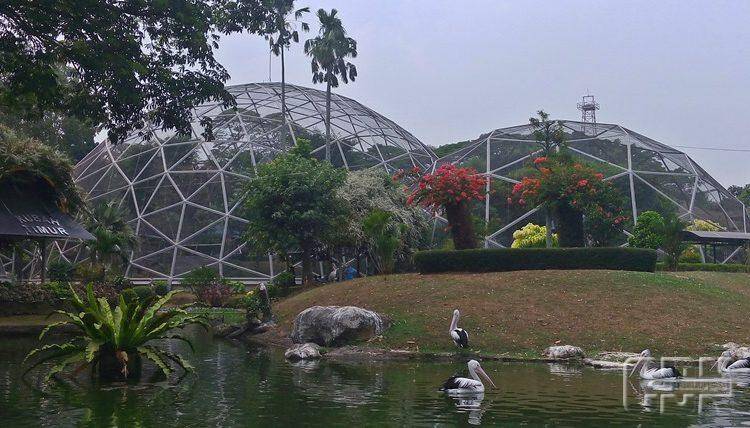 Koleksi Tapir Taman Rimba Bertambah