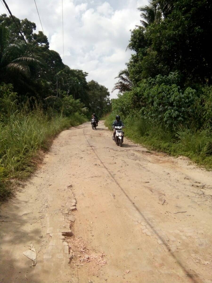 Kondisi jalan Desa Pelempang Menuju Nyogan Memprihatintan