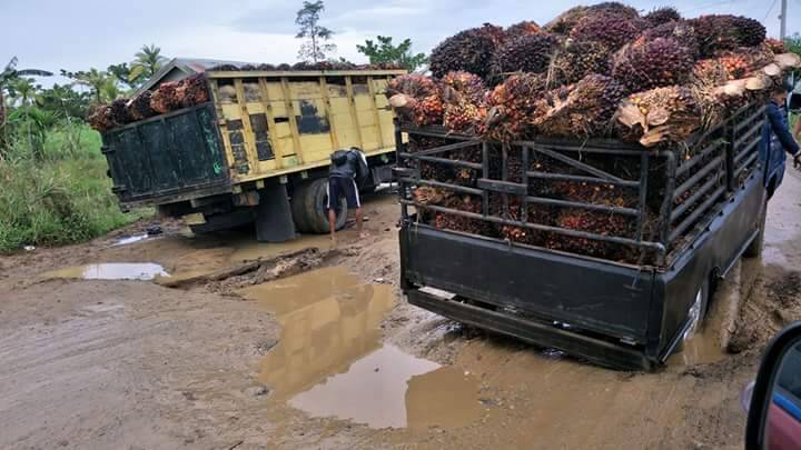 Kondisi Jalan Kawasan Jembatan Sabak Kian Parah