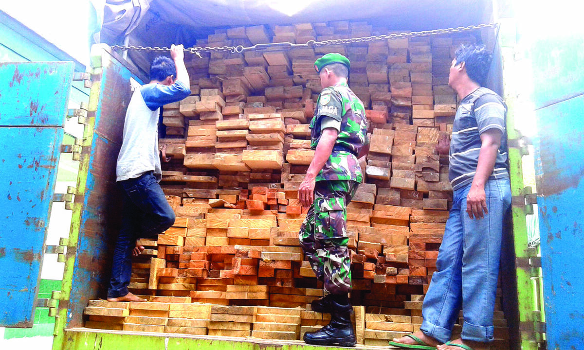 Korem 042 Garuda Putih Amankan 80 Meter Kubik Kayu Illegal