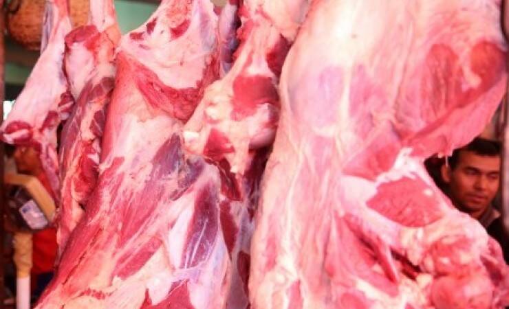 KPPU Terus Pantau Harga Daging Sapi di Jambi, Ada Apa?